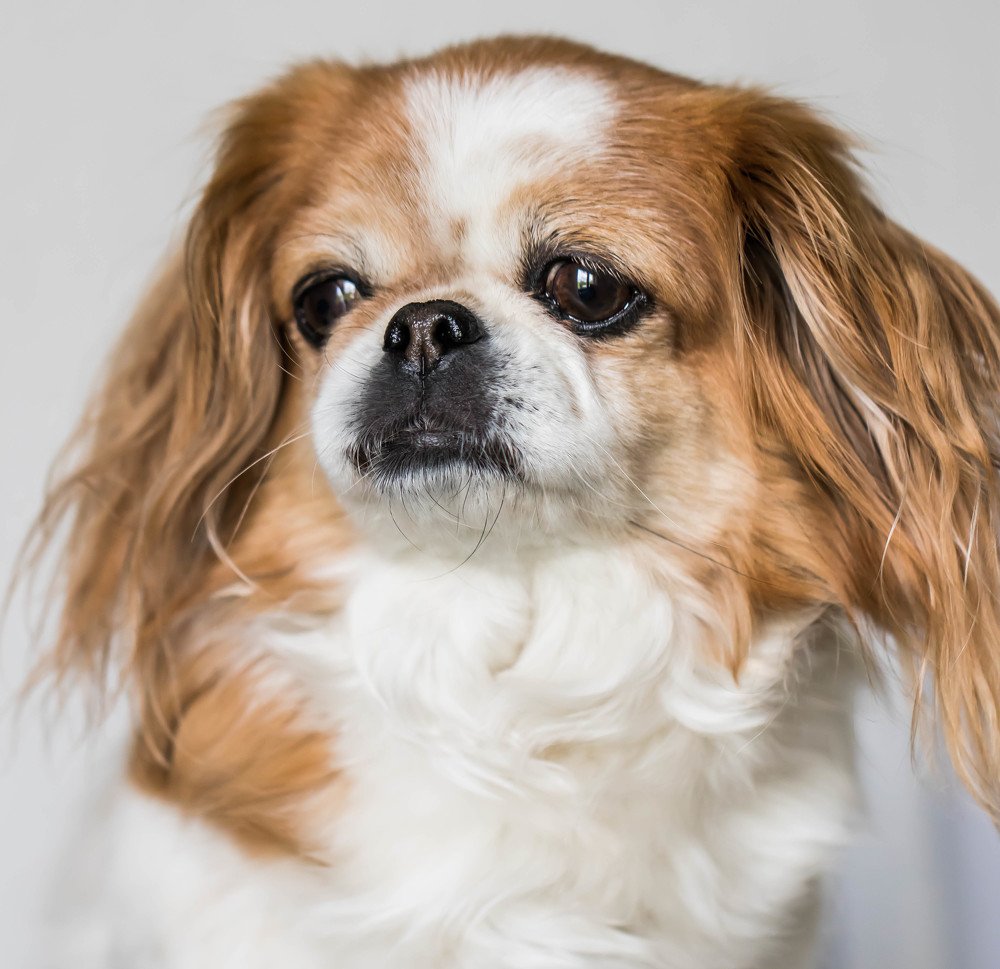 Photograph by Elena Gebert