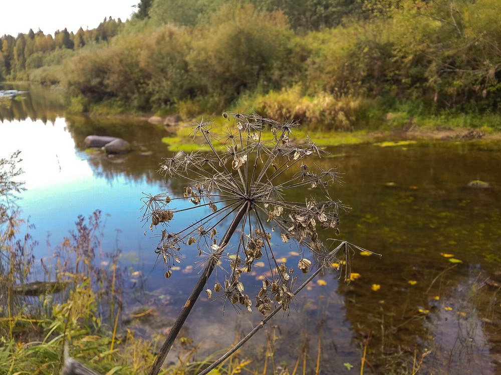 Photograph by Елена Верховская