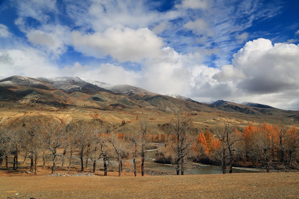 Photograph by Евгений Зинов