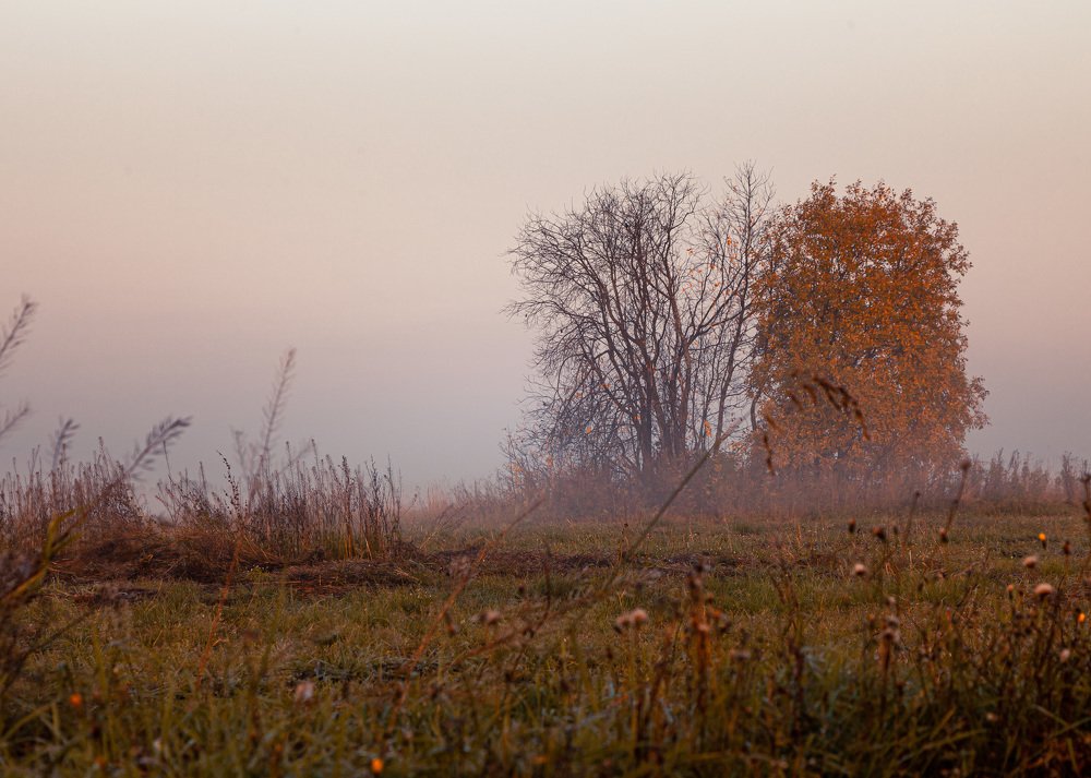 Photograph by Сергей Калинин
