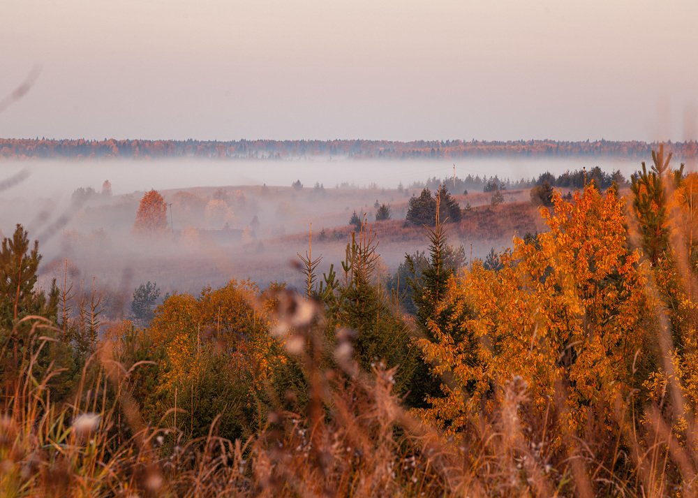 Photograph by Сергей Калинин