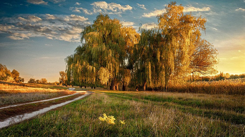 Photograph by Сергей Епишев