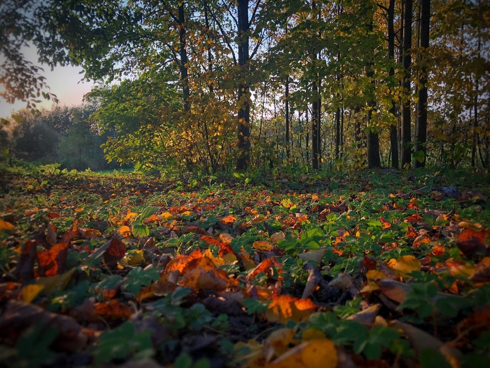 Photograph by Наталья