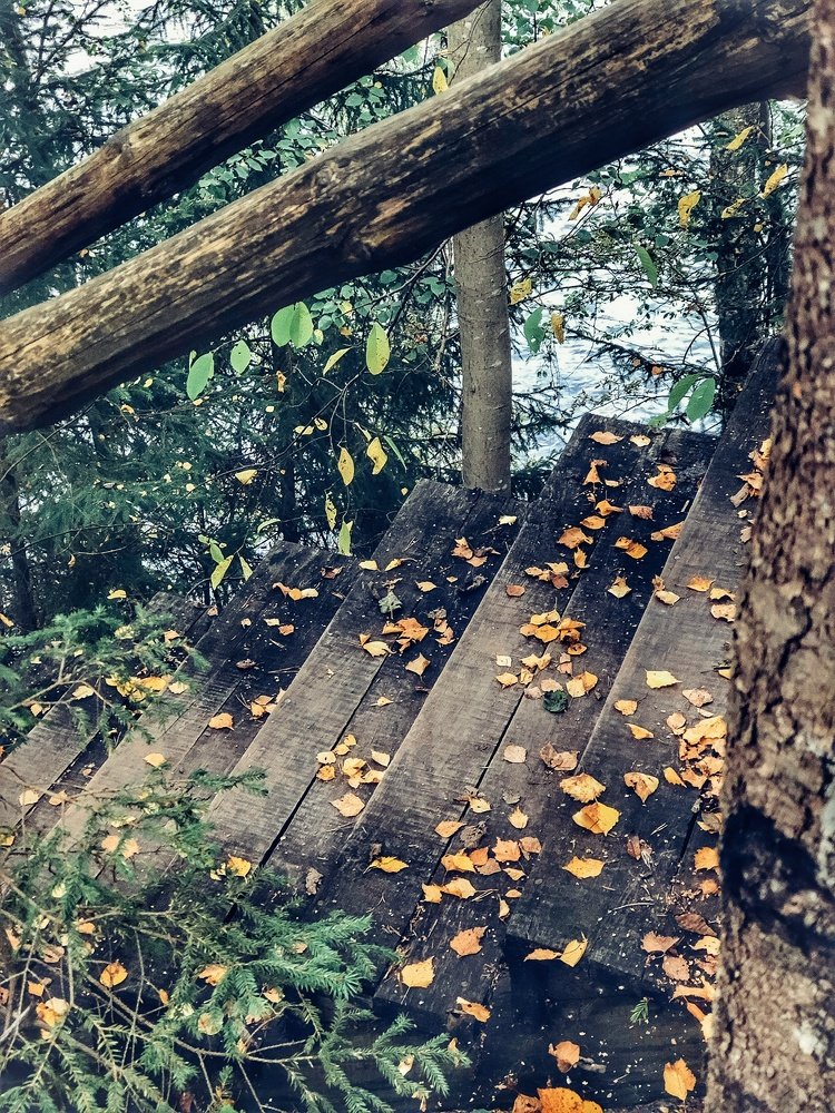 Photograph by Наталья