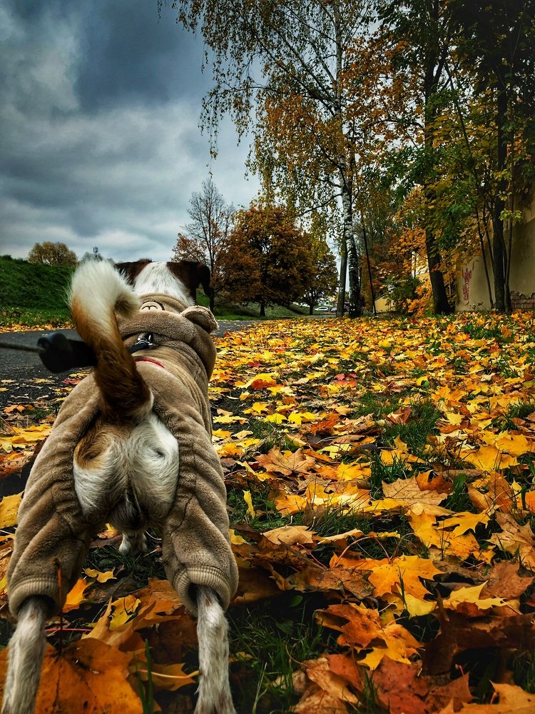 Photograph by Наталья