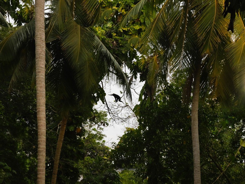 Photograph by Газетдинов Айрат