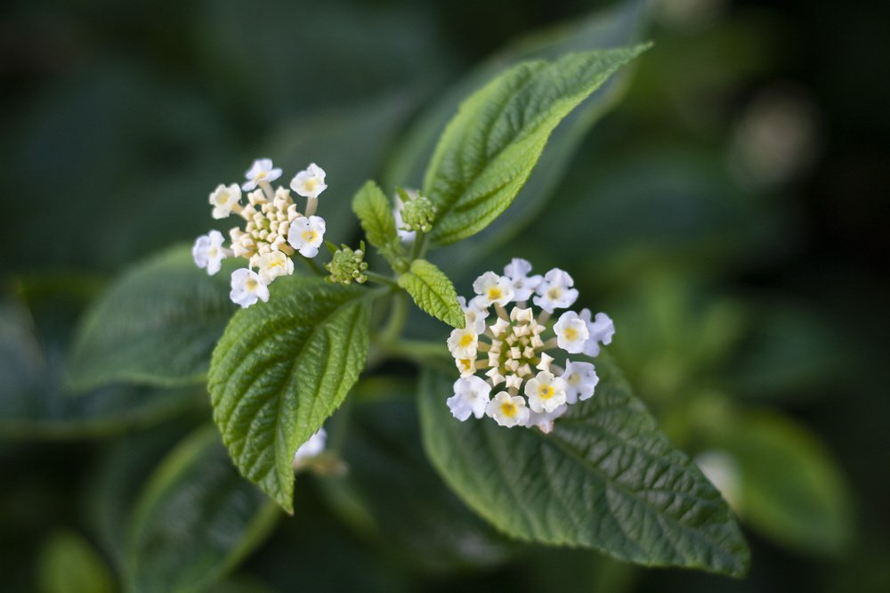 Photograph by Владимир Бутов