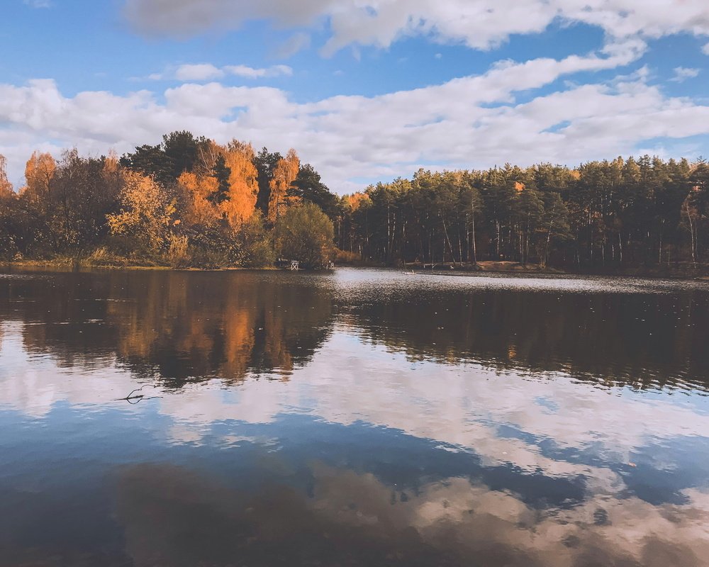 Photograph by Эльвира Курочкина