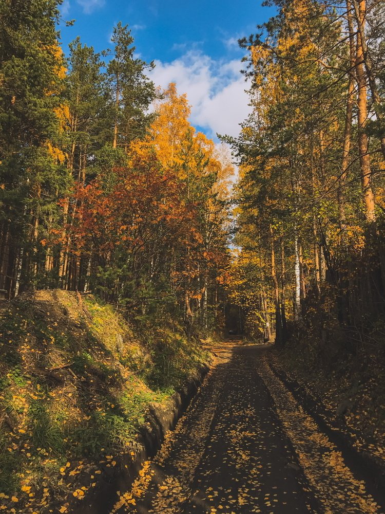 Photograph by Эльвира Курочкина