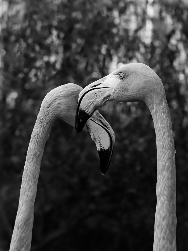 Photograph by Газетдинов Айрат