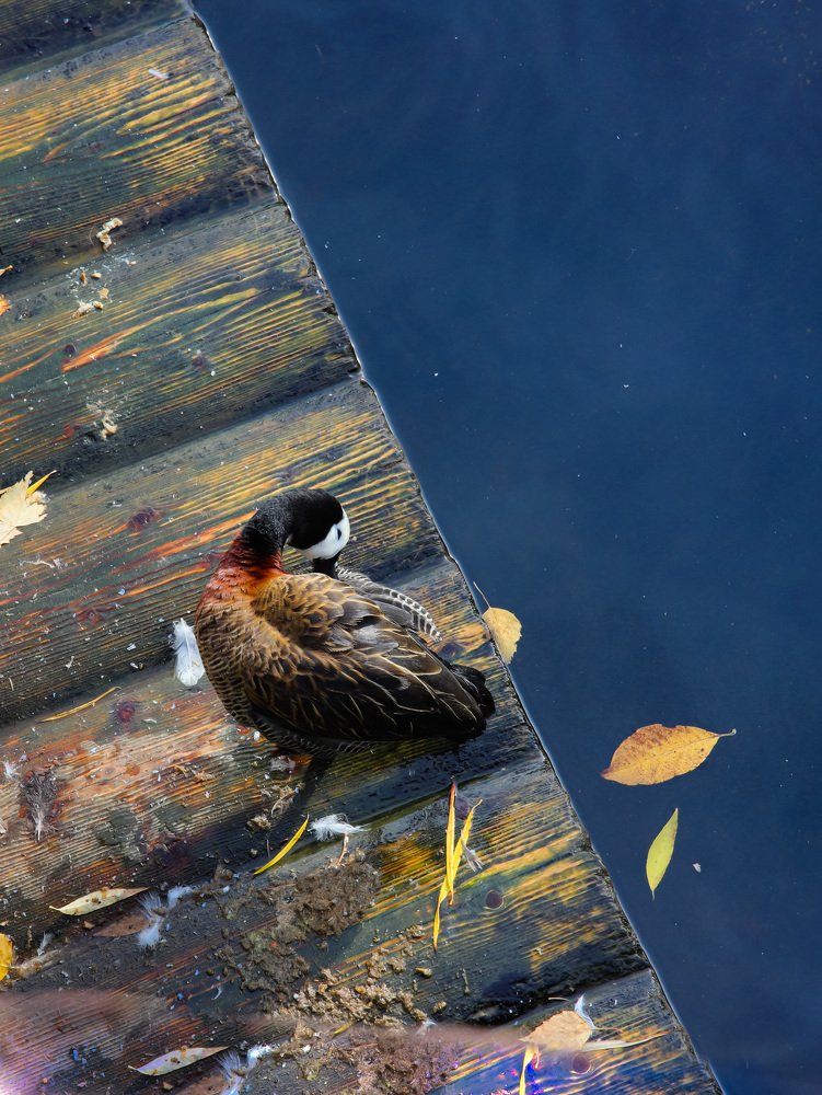 Photograph by Газетдинов Айрат