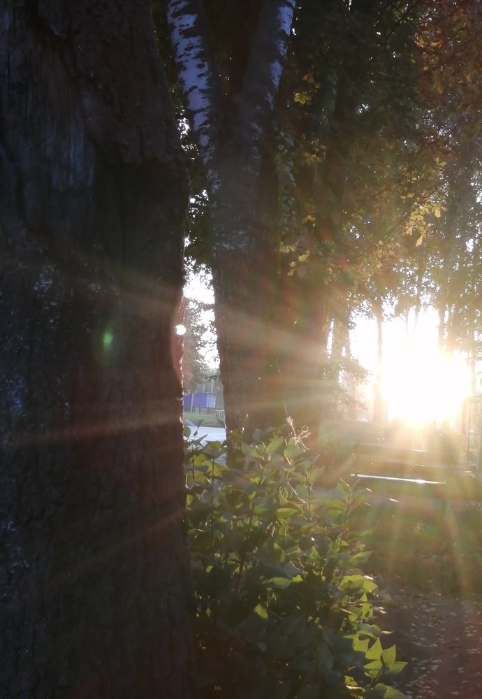 Фотография автора Кравцова Светлана