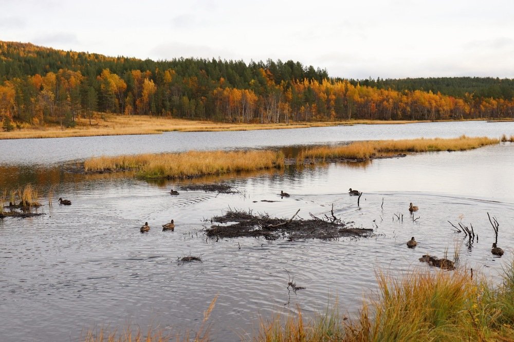 Photograph by Светлана Лебедева