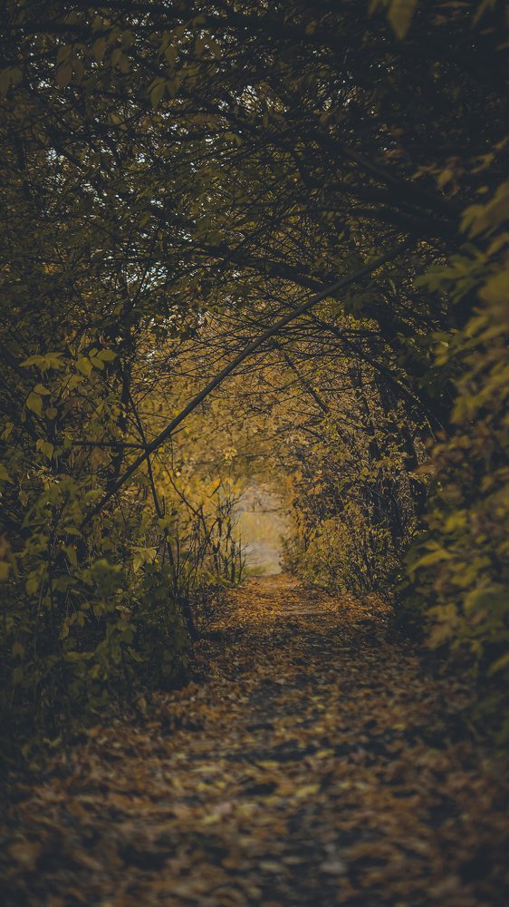 Мистика осени