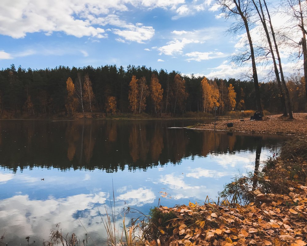 Photograph by Эльвира Курочкина