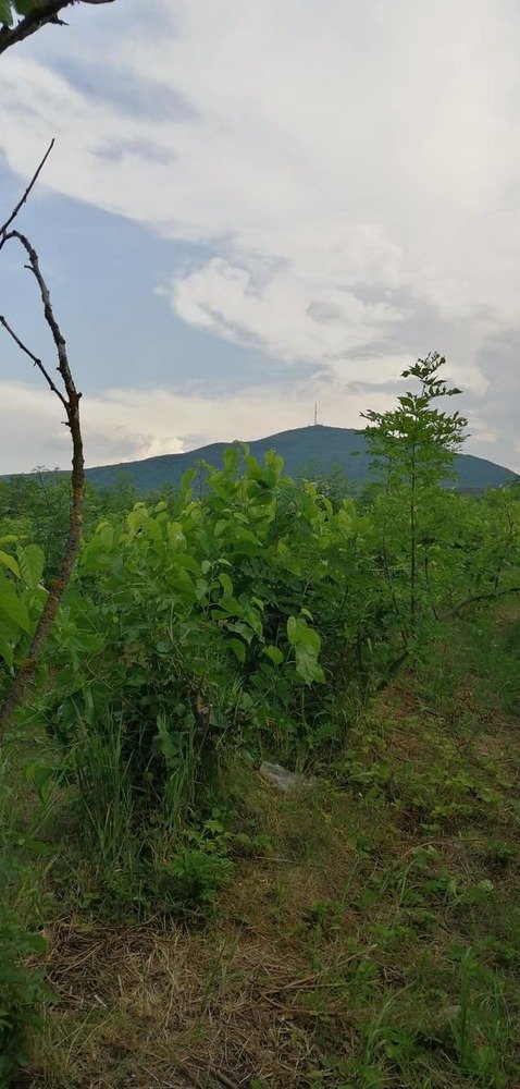 Photograph by Мила