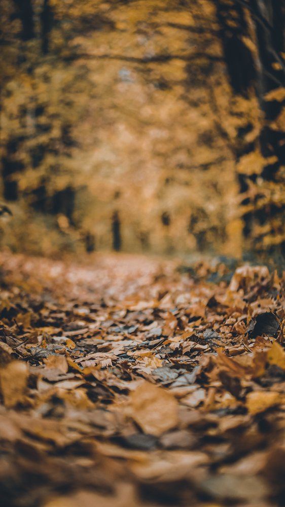 Photograph by Ильдус Шаруков