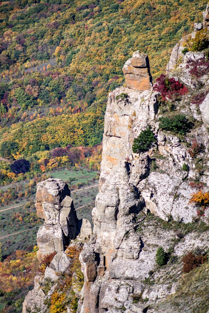 Photograph by Вадим Стрельцов