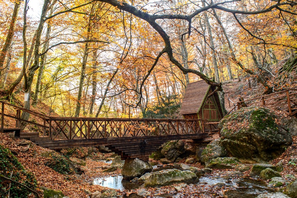 Photograph by Вадим Стрельцов