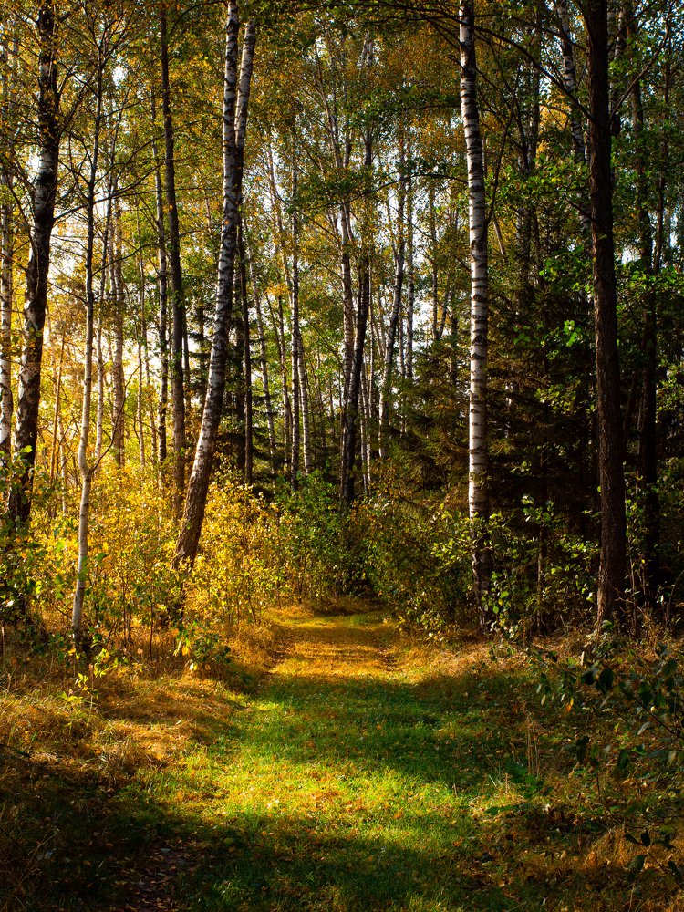 Photograph by Герман Колодный