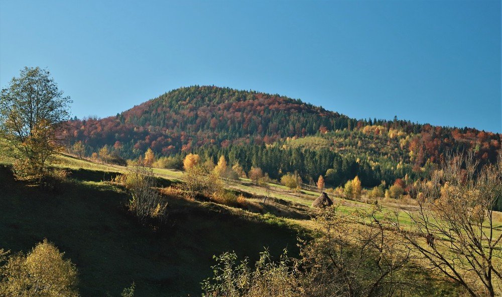 Photograph by Андрей Телибаев