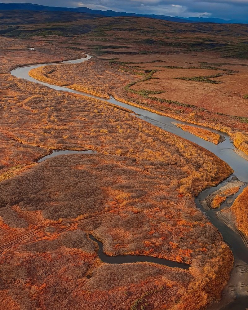 Photograph by Владимир Дождик