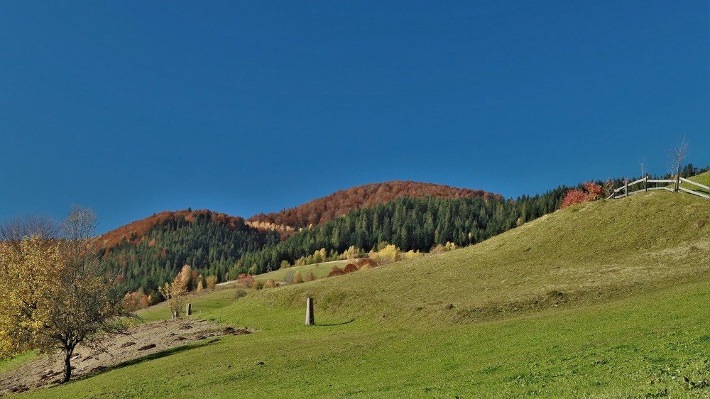 Photograph by Андрей Телибаев