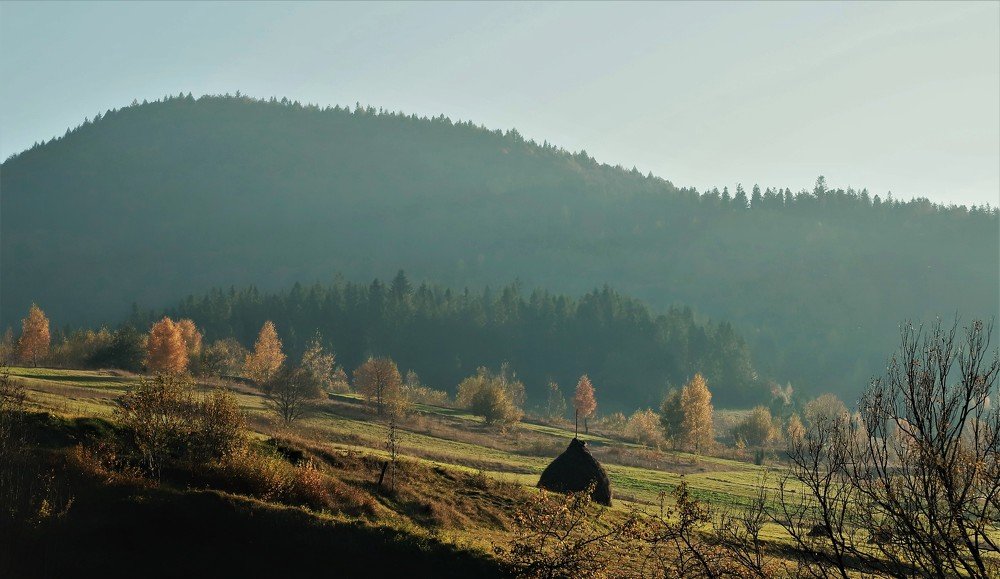 Photograph by Андрей Телибаев