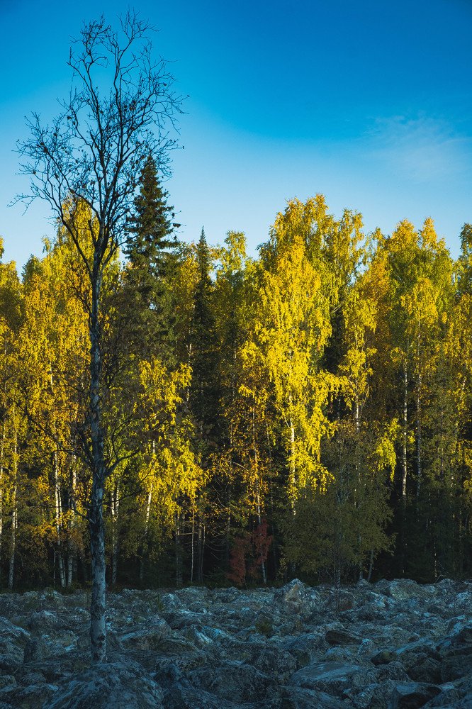 Photograph by Игорь Мальков
