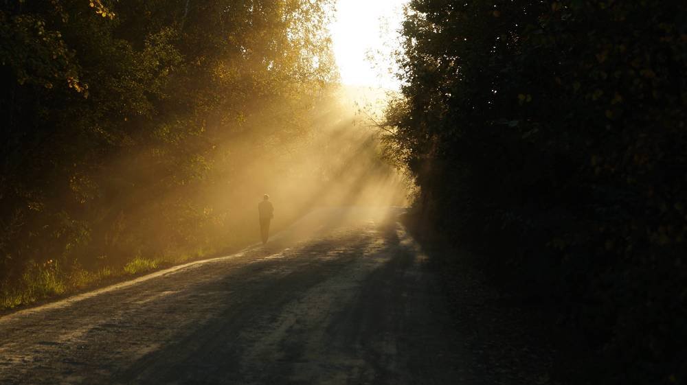 Photograph by Иван Кирилков