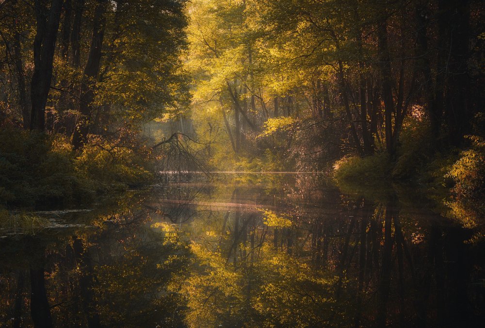 Photograph by Виталий Левыкин