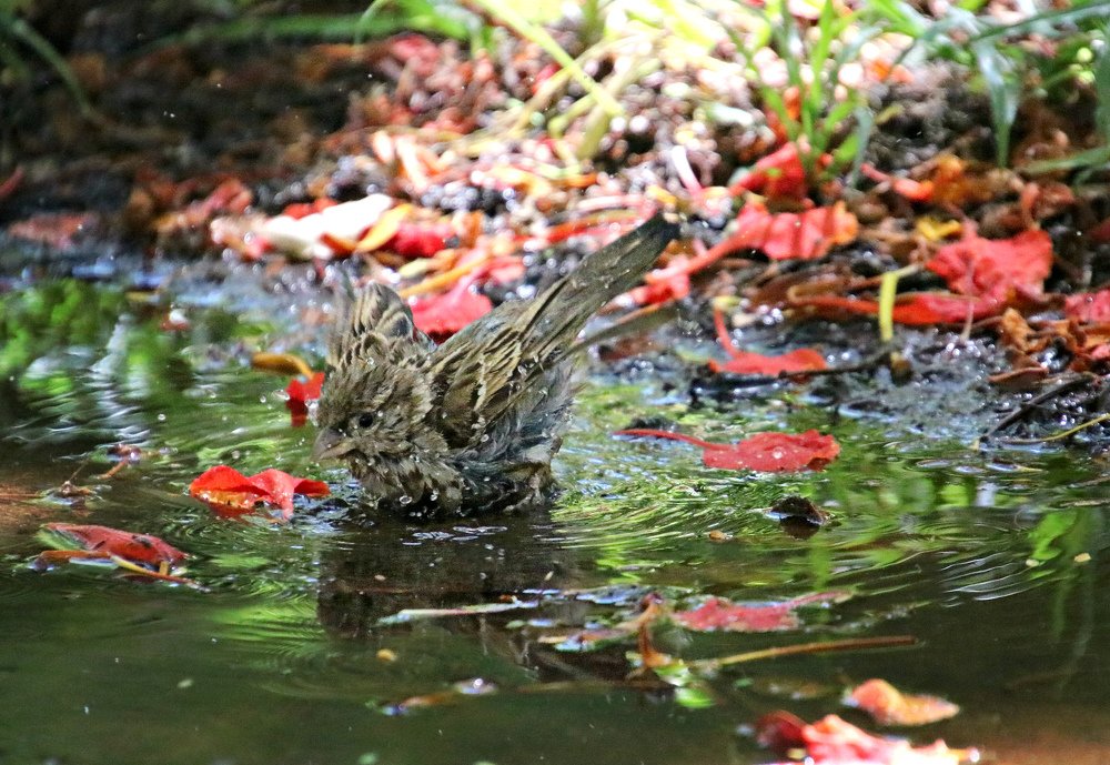 Photograph by Irina Radzinskaya
