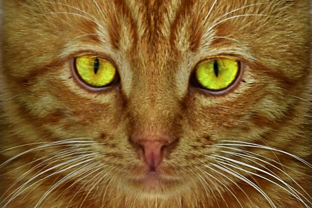 Photograph by Kiril Mucevski