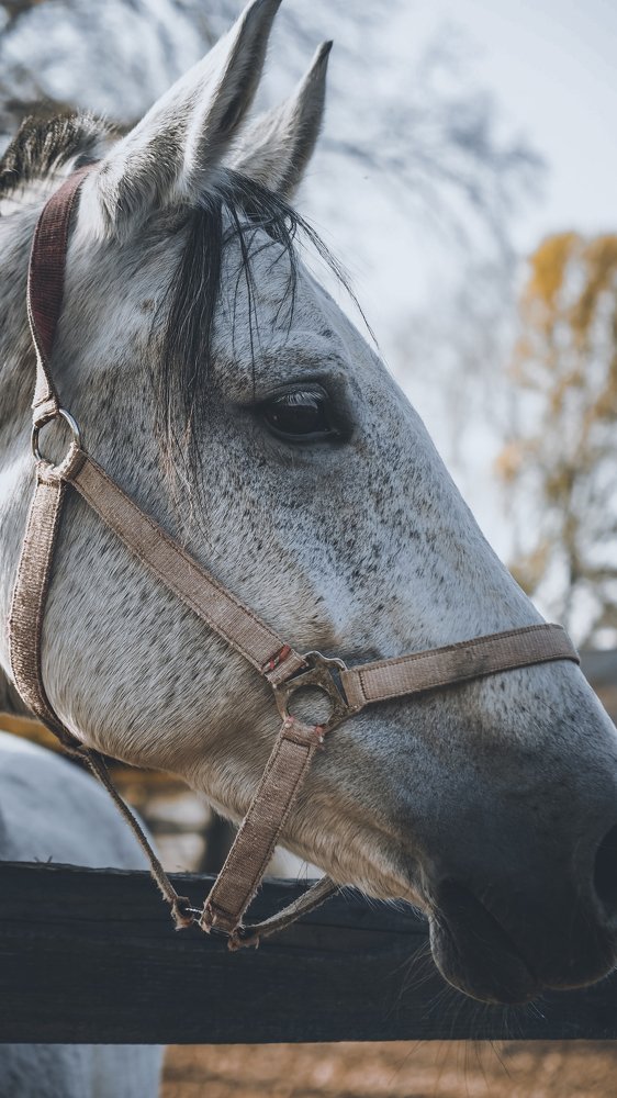 Photograph by Ильдус Шаруков