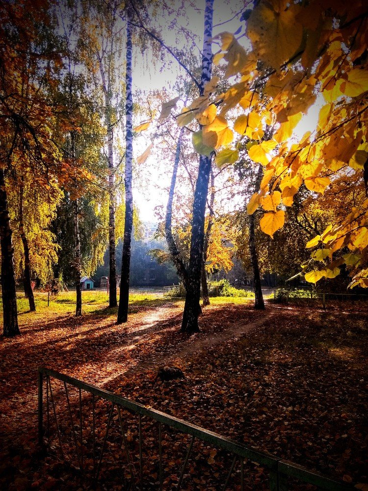 Photograph by Андрей Иванов