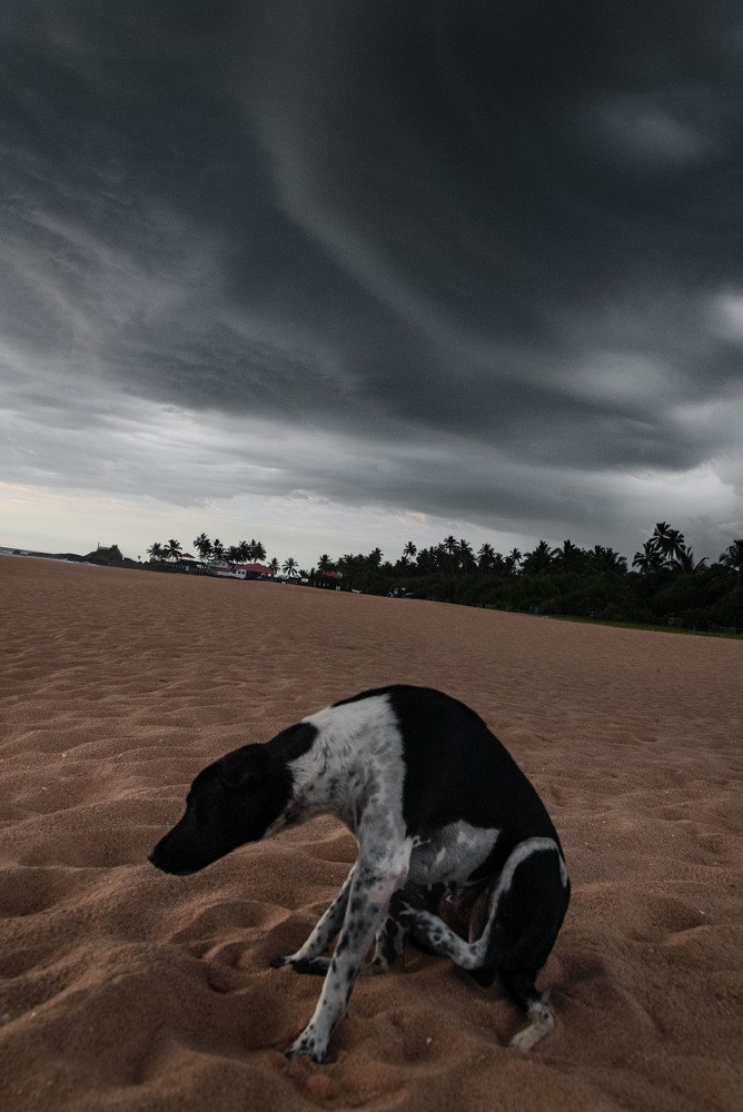 Photograph by Газетдинов Айрат