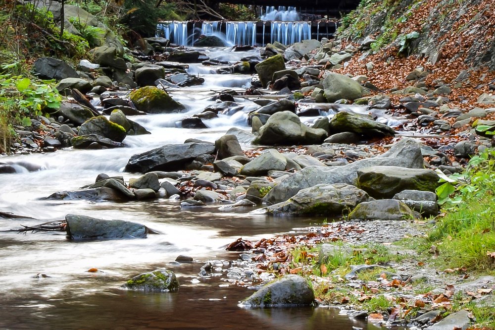 Photograph by Анастасия Донская