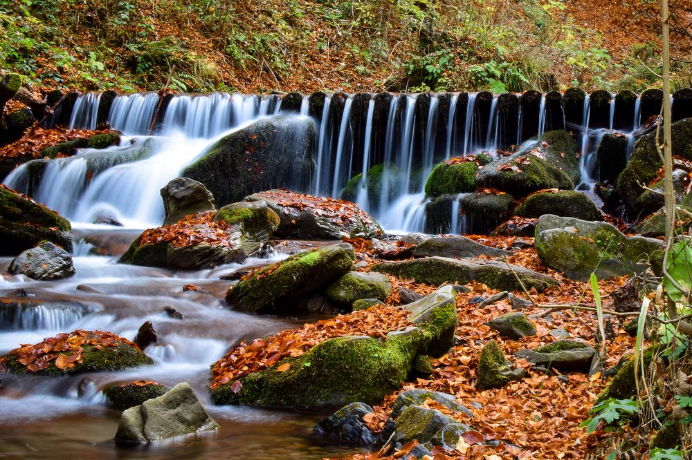 Photograph by Анастасия Донская