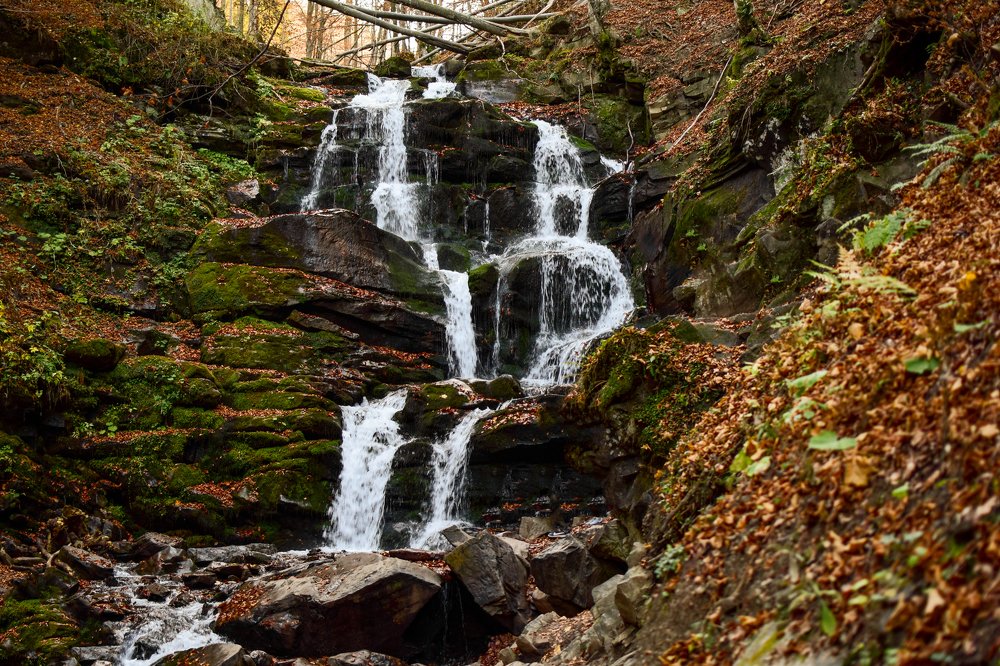 Photograph by Анастасия Донская