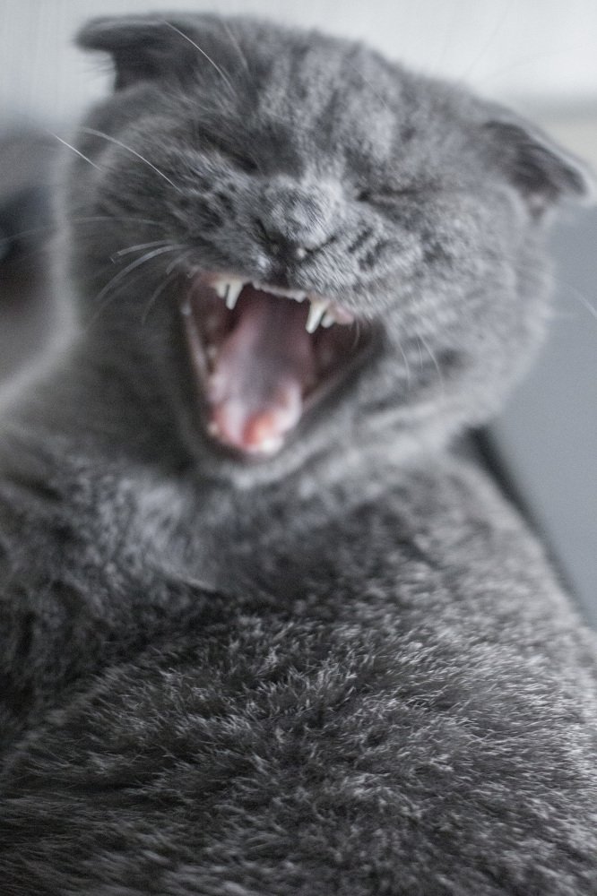 Photograph by Ольга Минакова