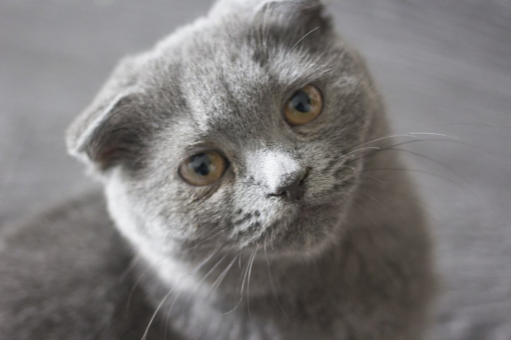 Photograph by Ольга Минакова