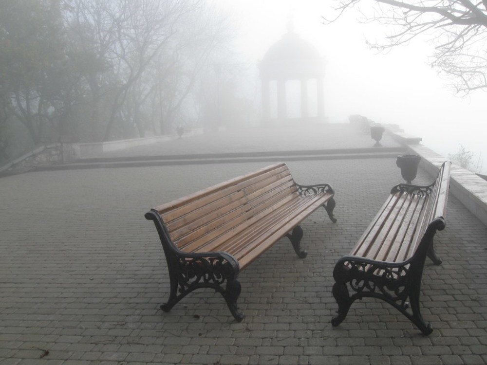 Photograph by Прялкин Сергей