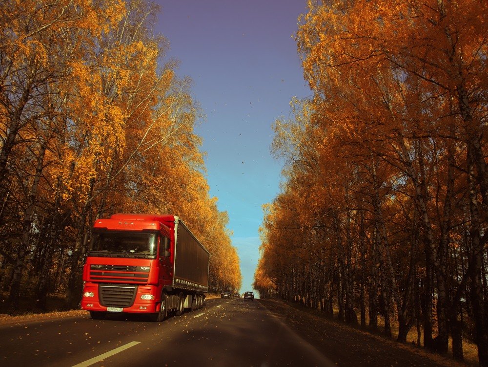 Photograph by Газетдинов Айрат