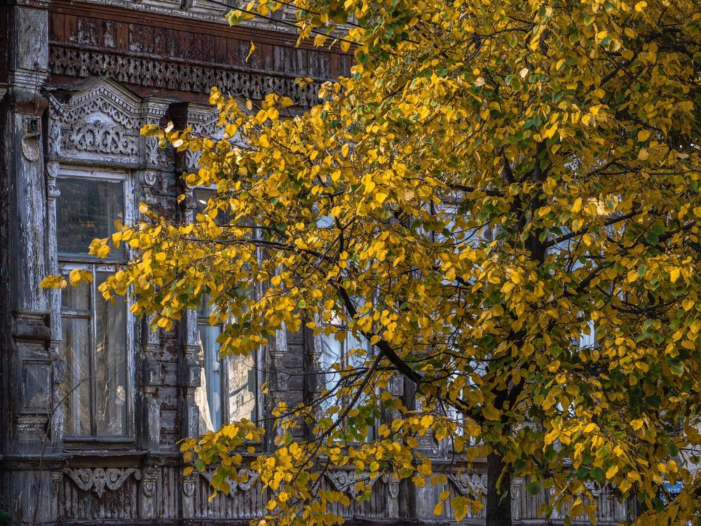 Photograph by mikhail goryachev