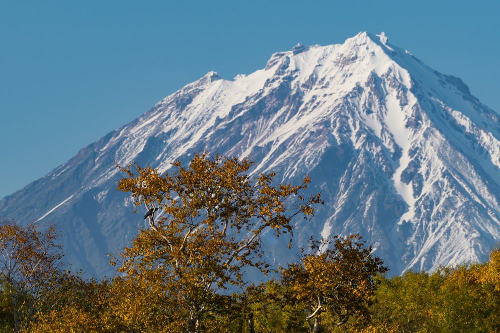 Photograph by Наталья Королева