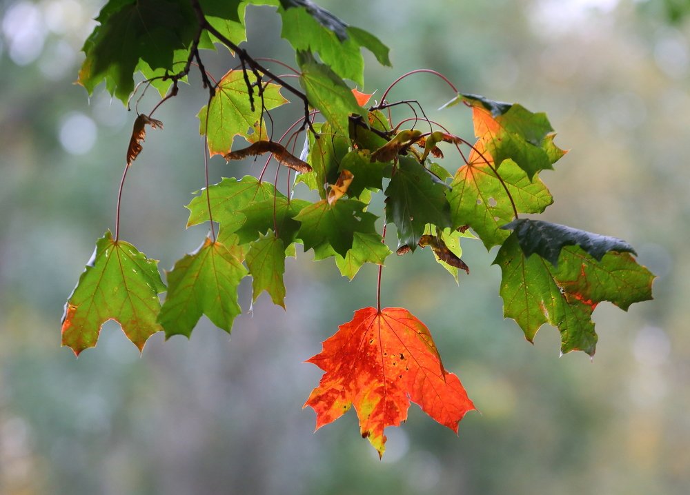 Photograph by Станислав Вершинин