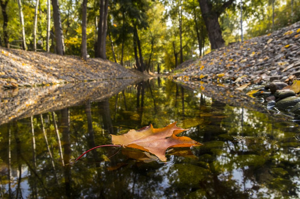 Photograph by Дмитрий Тимин