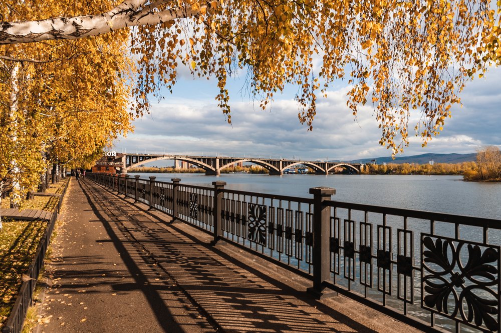 Фотография автора Виктор Максимов