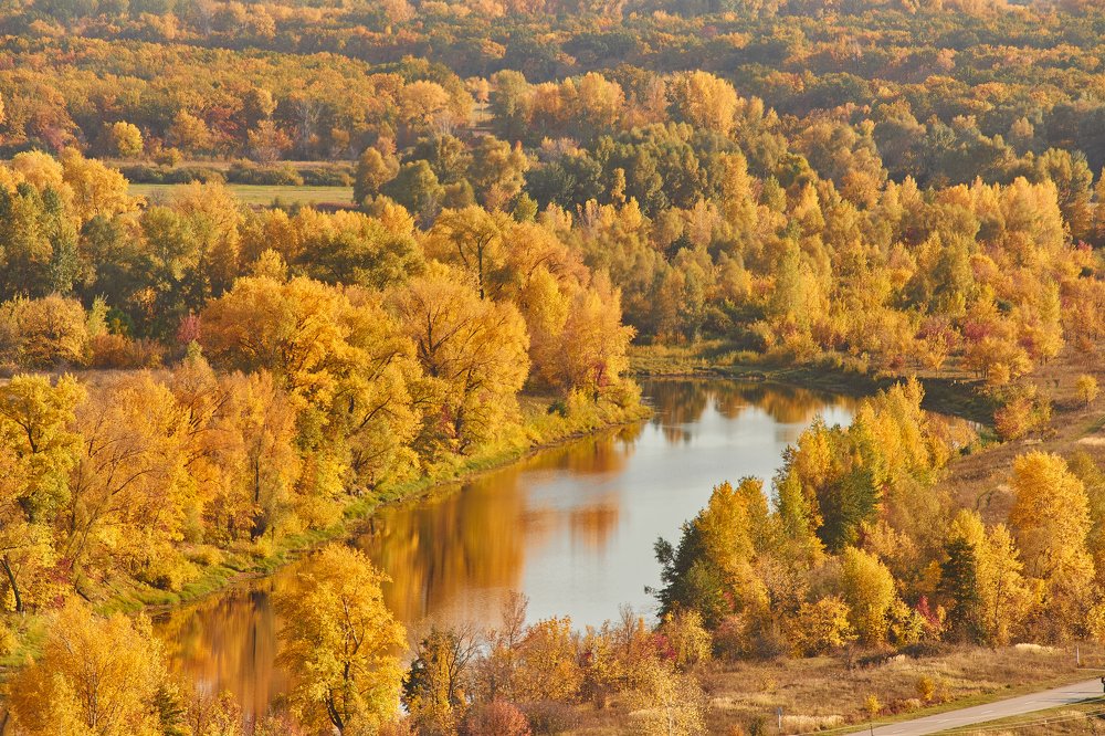 Photograph by Дмитрий Лепаков