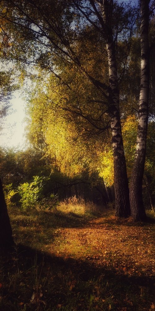 Photograph by Юлия Марфонова